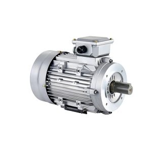 1400RPM Shell foot power three-phase asynchronous motor Dingyi is equipped with mechanical equipment 380v pure copper three-phase asynchronous motor