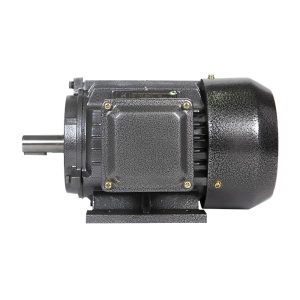 Power 750w 4-pole three-phase asynchronous motor iron shell motor three-phase motor motor