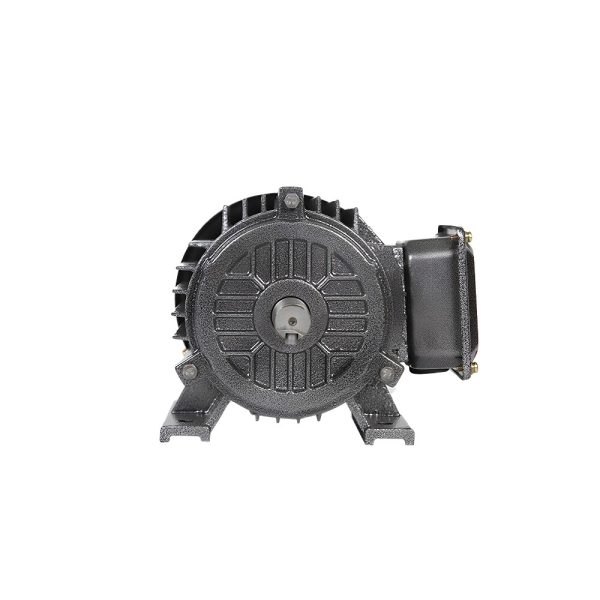 Power 750w 4-pole three-phase asynchronous motor iron shell motor three-phase motor motor