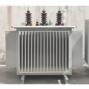 35kva high-voltage three-phase oil immersed transformer 110/250/400/800kw large power transformer - Image 6
