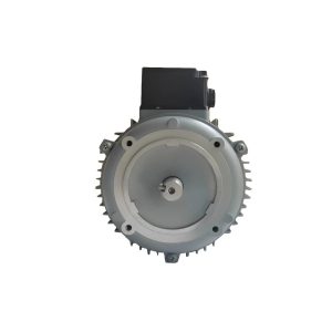 Aluminum shell copper wire mechanical equipment motor customization three-phase motor motor motor - Image 2